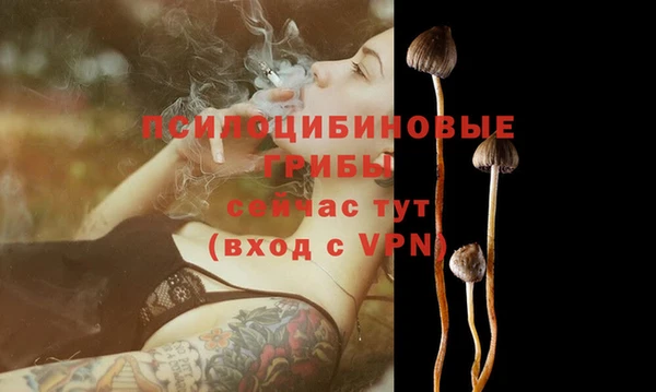 дурь Абинск